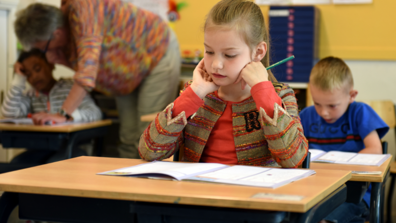 Метод «внимательного письма» или, как детям с ОВЗ научиться писать без ошибок